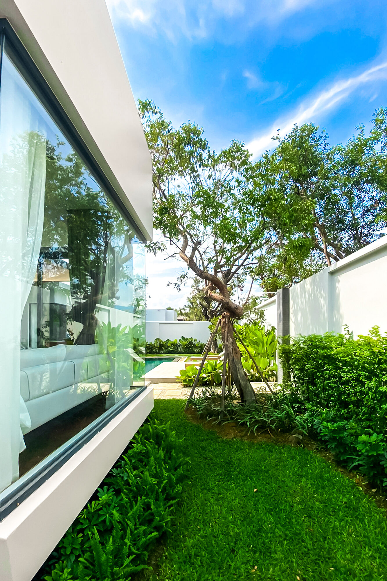 Villa Luma Botanica side garden with a mature shade tree, lush lawn and the villa's glass facade reflecting the greenery